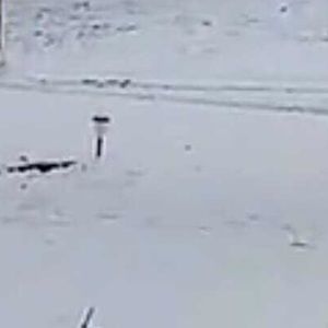 Meet your Posher, Karli